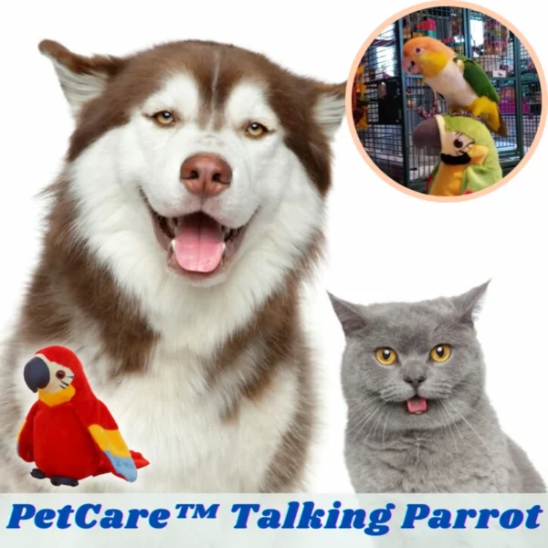 [PROMO 30% OFF] PetCare™ Talking Parrot