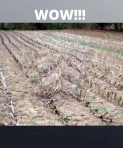 [PROMO 30% OFF] HuntHide™ Mirror Film