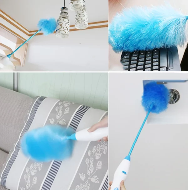 Electric Chicken Hair Duster