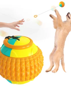 Dog Molars Throwing Toy Training Ball And Cue Stick