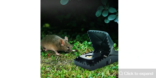 (Early Christmas Sale-50% Off Now) Mousetrap (BUY 1 TAKE 2 NOW)