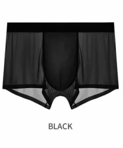 (🔥50% OFF NGAYON🔥） Panlalaking Ice Silk Underwear