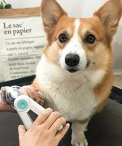 Pet Nail Trimmer with LED Light🔥50% OFF🔥
