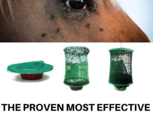 【ONLY $9.99 EACH🔥BUY 2 GET 1 FREE】REUSABLE FLY TRAP