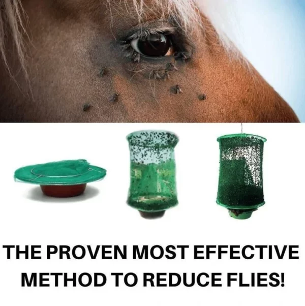 【ONLY $9.99 EACH🔥BUY 2 GET 1 FREE】REUSABLE FLY TRAP