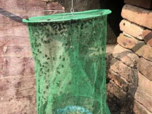 【ONLY $9.99 EACH🔥BUY 2 GET 1 FREE】REUSABLE FLY TRAP