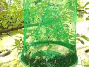 【ONLY $9.99 EACH🔥BUY 2 GET 1 FREE】REUSABLE FLY TRAP