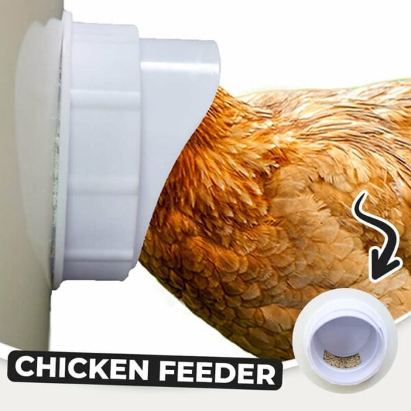 DIY Chicken Feeder🔥