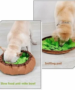 🔥50% OFF🔥Pet smell mat