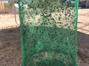 【ONLY $9.99 EACH🔥BUY 2 GET 1 FREE】REUSABLE FLY TRAP