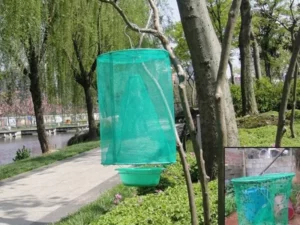 【ONLY $9.99 EACH🔥BUY 2 GET 1 FREE】REUSABLE FLY TRAP