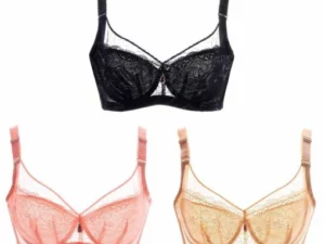 Women Ultra Thin Sexy Lace Push up Bra Plus Size BCD
