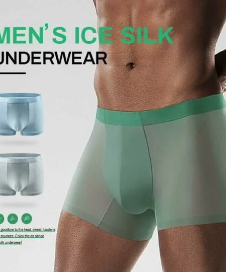 (🔥50% OFF NGAYON🔥） Panlalaking Ice Silk Underwear