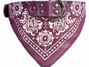 SUPREPET Cute Adjustable Small Dog Collars Puppy Pet Slobber Towel Outdoor Cat Collar Print Scarf Design Dog Collar Neckerchief