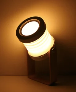 Modern Multi-Purpose Lamp.