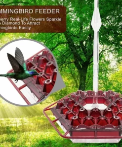 Hummingbird Feeder With Perch And Built-in Ant Moat ⏰ Special Offer ⏰