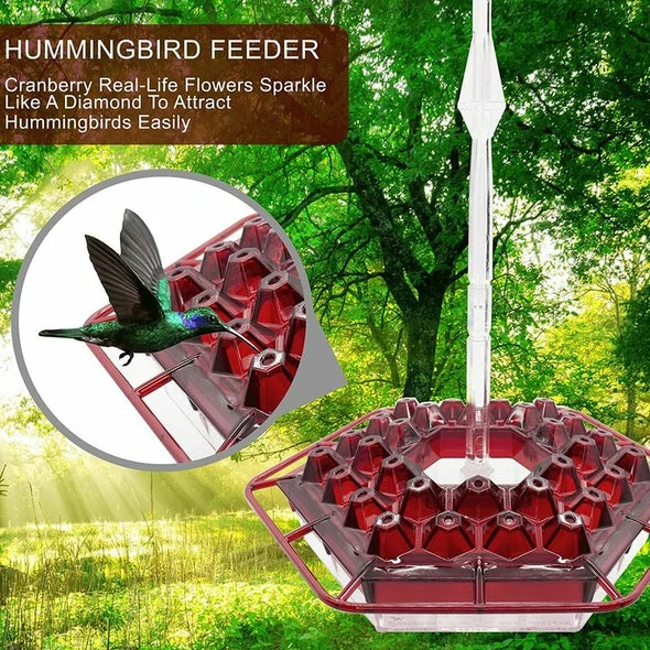 Hummingbird Feeder Bil-perċa u l-foss tal-nemel mibni ⏰ Offerta Speċjali ⏰