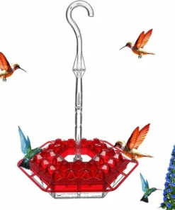 Hummingbird Feeder With Perch And Built-in Ant Moat ⏰ Special Offer ⏰