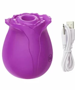 2022 New Upgraded Women Rose Toys with 10 Gears