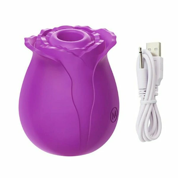 2022 New Upgraded Women Rose Toys with 10 Gears