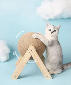 💥Heißer Verkauf💥 – Katzenpfotenbrett für Haustiere
