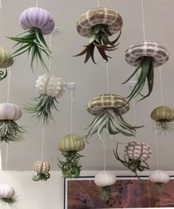 Super Cute!Hanging Plant Pot Jellyfish Aerial Plant