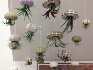 Super Cute!Hanging Plant Pot Jellyfish Aerial Plant
