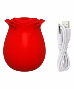 2022 New Upgraded Women Rose Toys with 10 Gears