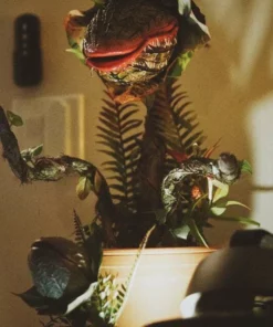 Audrey II / Piranha decoration