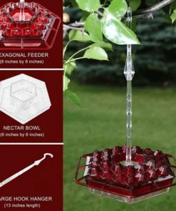 Hummingbird Feeder With Perch And Built-in Ant Moat ⏰ Special Offer ⏰