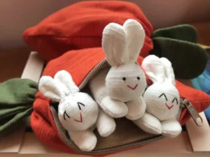 Hide-and-Seek Bunnies in Carrot Pouch