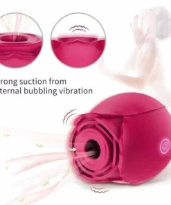 2022 New Upgraded Women Rose Toys with 10 Gears