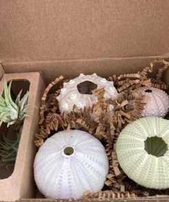 Super Cute!Hanging Plant Pot Jellyfish Aerial Plant