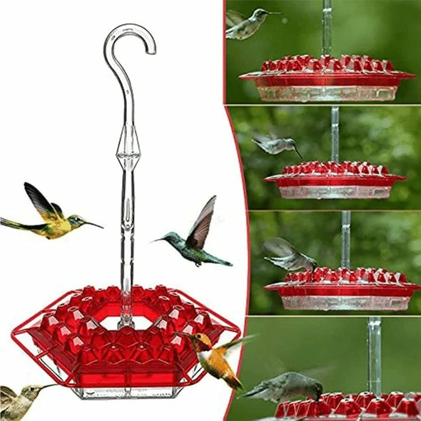 Hummingbird feeder með karfa og innbyggðum maur Moat ⏰ Sértilboð ⏰