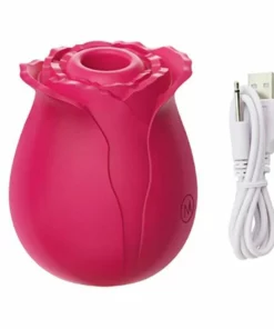 2022 New Upgraded Women Rose Toys with 10 Gears