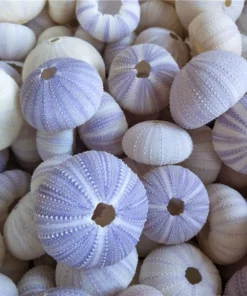 Super Cute!Hanging Plant Pot Jellyfish Aerial Plant