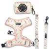 Rosé All Day Dog Harness and Leash Set
