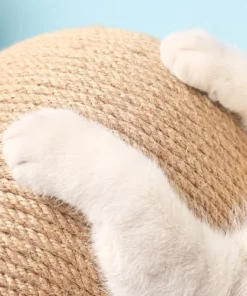 💥Hot Sale💥- Pet cat paw board