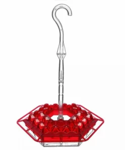 Hummingbird Feeder With Perch And Built-in Ant Moat ⏰ Special Offer ⏰