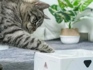Smart Sensor FunBox for Pets🎁New Year 2022 Sale-49%OFF🎁