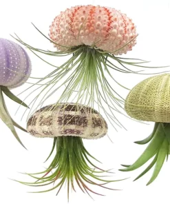 Super Cute!Hanging Plant Pot Jellyfish Aerial Plant