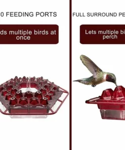 Hummingbird Feeder With Perch And Built-in Ant Moat ⏰ Special Offer ⏰