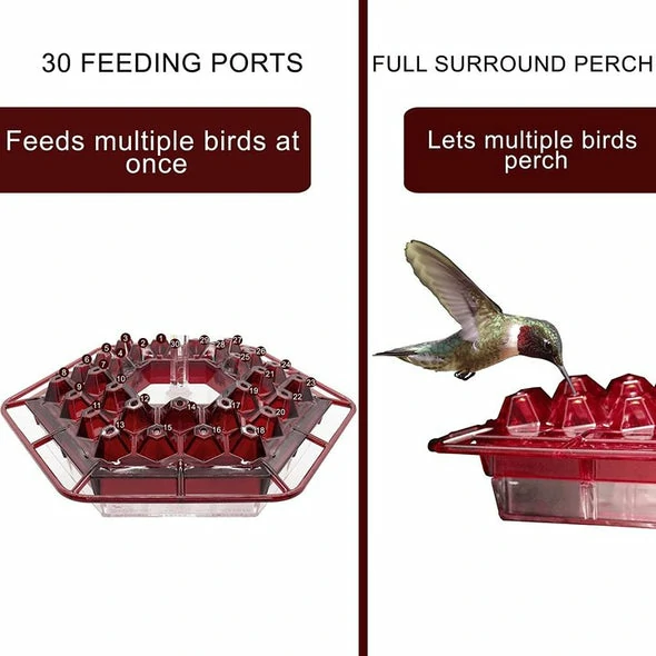 Hummingbird Feeder Bil-perċa u l-foss tal-nemel mibni ⏰ Offerta Speċjali ⏰