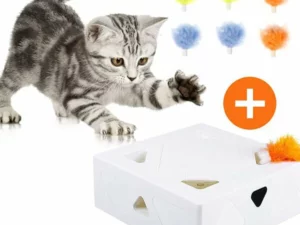 Smart Sensor FunBox for Pets🎁New Year 2022 Sale-49%OFF🎁