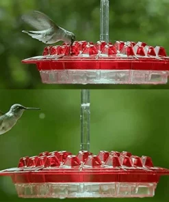 Hummingbird Feeder With Perch And Built-in Ant Moat ⏰ Special Offer ⏰