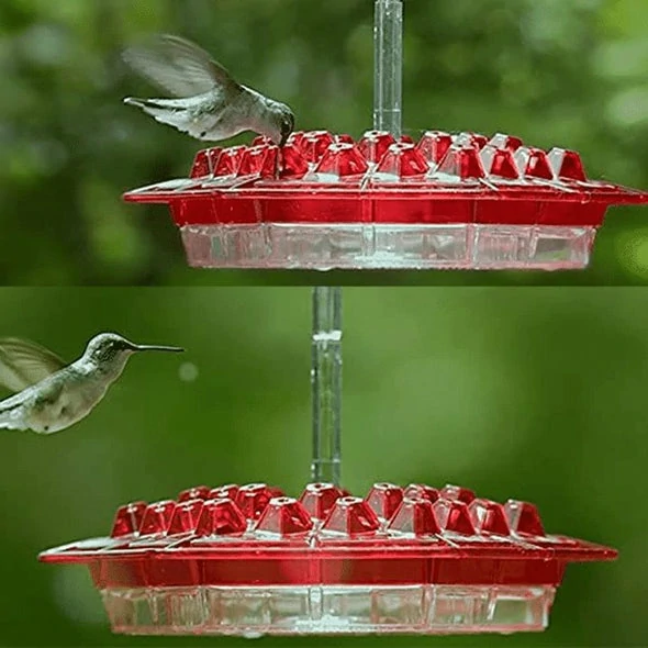 Kolibriefeeder mei baarch en ynboude miermoat ⏰ Spesjaal oanbod ⏰