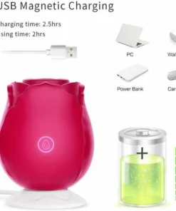 2022 New Upgraded Women Rose Toys with 10 Gears