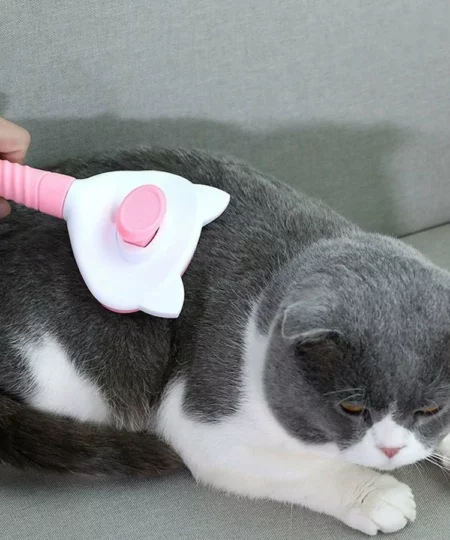 50%OFF😻Pet Cleaning Slicker Brush
