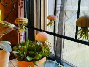 Super Cute!Hanging Plant Pot Jellyfish Aerial Plant