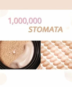 🔥Buy 1 Get 1 Free&Clearance SALE🎁- Pure natural plant extract CC cream